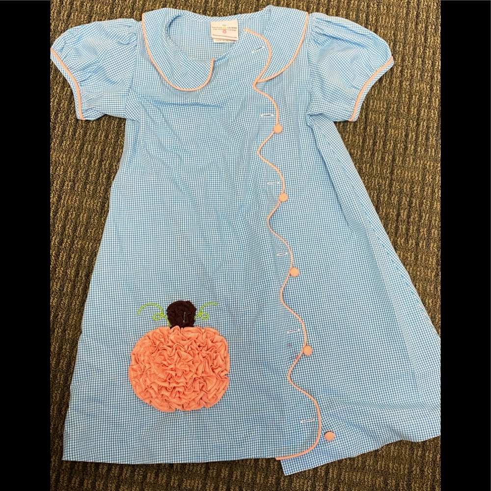 Fall pumpkin Dress